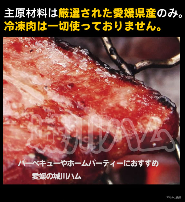 ハムギフト 贈答 御中元 御歳暮 愛媛 城川ハム