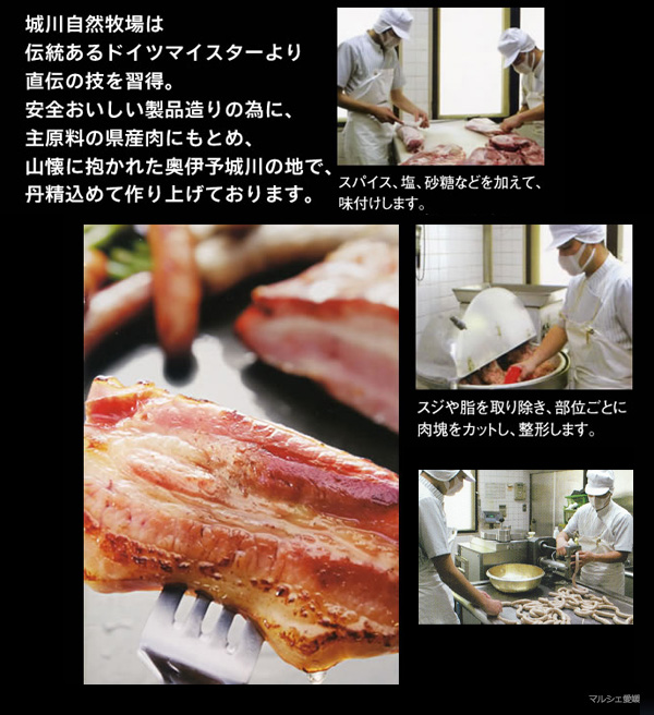 ハムギフト 贈答 御中元 御歳暮 愛媛 城川ハム