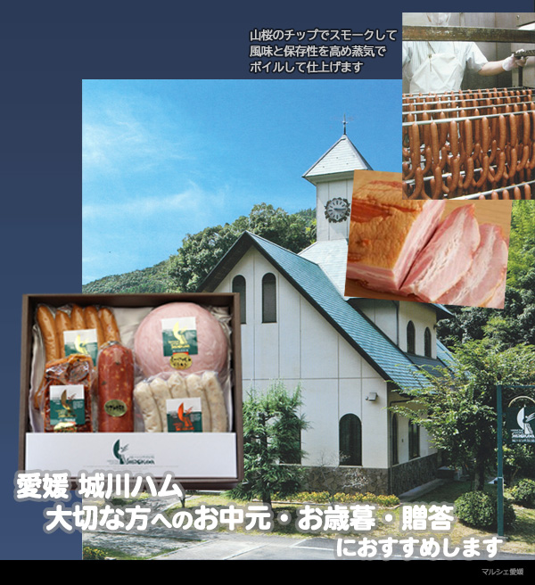 ハムギフト 贈答 御中元 御歳暮 愛媛 城川ハム