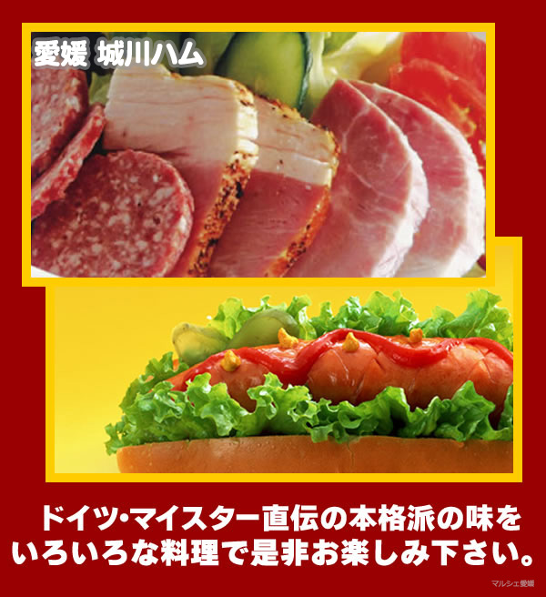 ハムギフト 贈答 御中元 御歳暮 愛媛 城川ハム