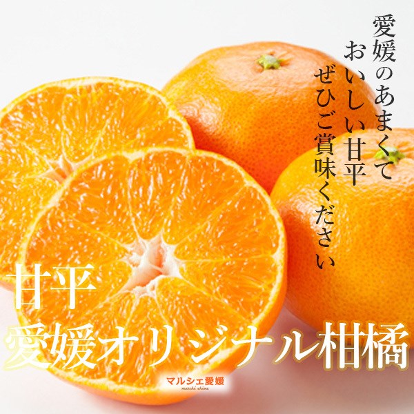 甘平みかん 10kgのおすすめ人気商品一覧 通販 - Yahoo!ショッピング