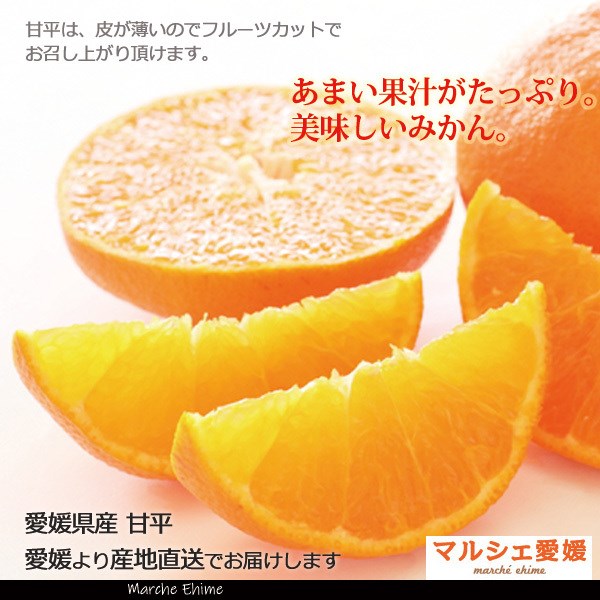 甘平 5キロ 贈答用 秀品 愛媛 フルーツ ギフト かんぺい みかん 5kg 箱買い 一部地域 送料無料