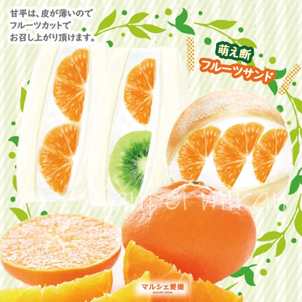 甘平 4キロ 贈答用 みかん 2kg × 2箱 L 2L 箱買い 柑橘 愛媛 お