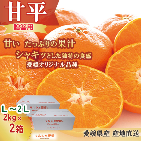 アイ　甘平4kg×２箱ぐるりん 甘平 4キロ 贈答用 みかん 2kg × 2箱 L 2L 箱買い 柑橘 愛媛 お
