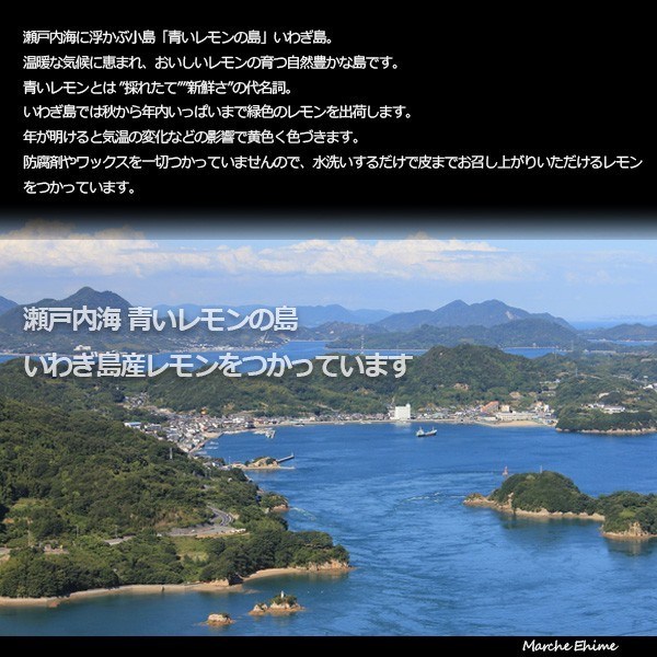 グリーン レモンマーマレード 150g 5個 ジャム  国産 愛媛 いわぎ島 1-2営業日以内に出荷予定（土日祝除く） |  | 02