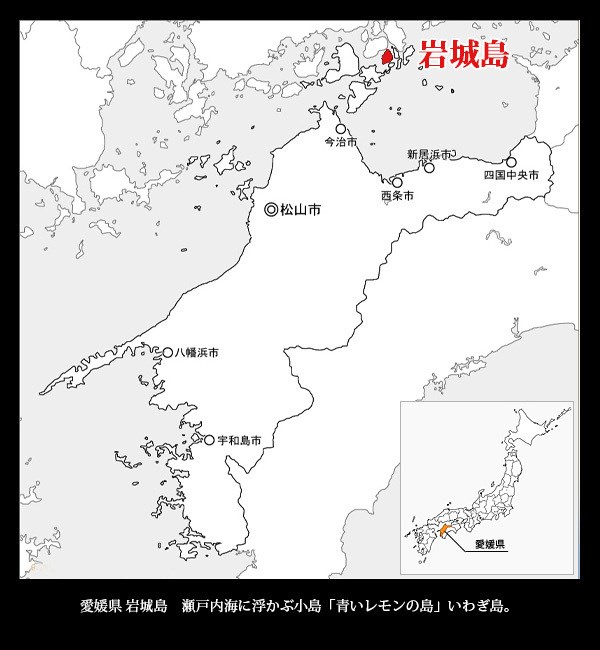 レモン 瀬戸内レモン 2キロ 可品２kg サイズ混合 国産レモン S M L 2Lサイズ 訳あり 皮まで食べられる 一部地域 送料無料 |  | 05