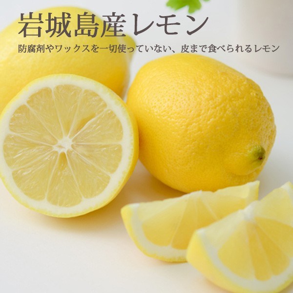 国産 レモン 秀品 10kg 生レモン 防腐剤不使用 皮まで食べられる 一部地域 送料無料｜marche-ehime