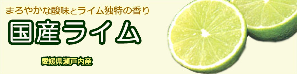 愛媛 いわぎ島 国産ライム 秀品 瀬戸内 愛媛 送料無料
