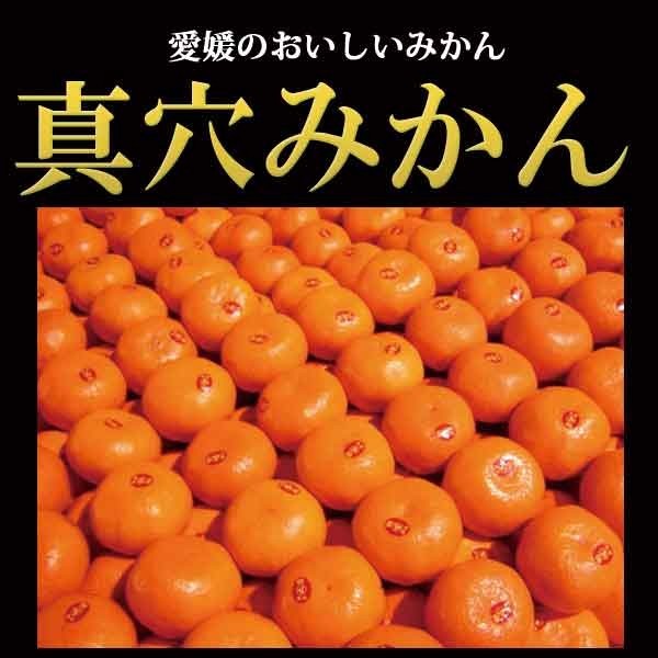 真穴みかん 5キロ レギュラー 良品 5kg S M L 愛媛 西宇和 みかん 真穴