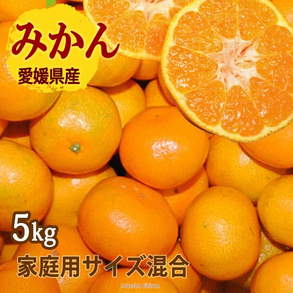 ݂ 5kg 5L ƒp Ǖi  Q݂ ꕔn 