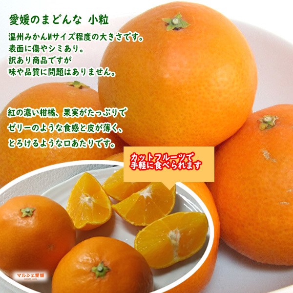 紅まどんな 家庭用 みかん 訳あり 箱買い 愛媛のまどんな 家庭用 小粒 2kg L 2キロ 風スレ傷有 一部地域 送料無料｜marche-ehime｜02