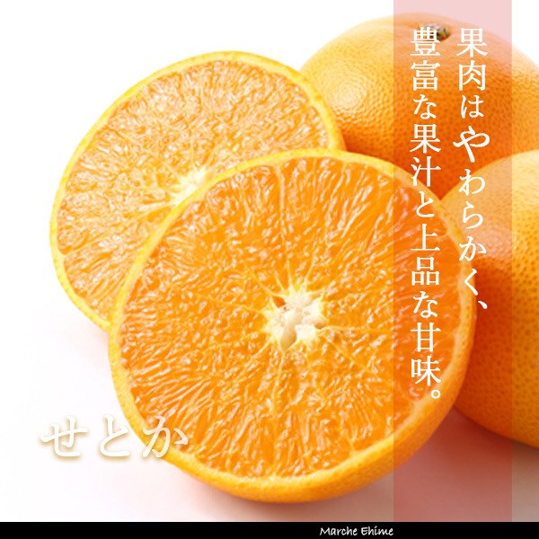 せとかのおすすめ人気商品一覧 通販 - Yahoo!ショッピング