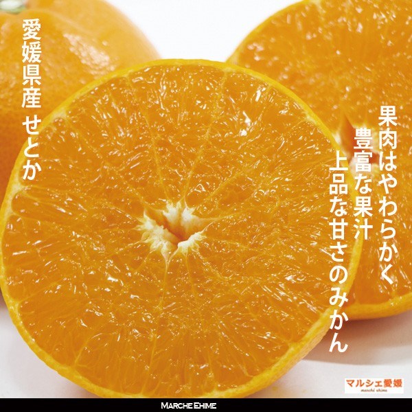 せとか 2キロ サイズ混合 家庭用 2kg 柔らかい果肉 傷有訳あり