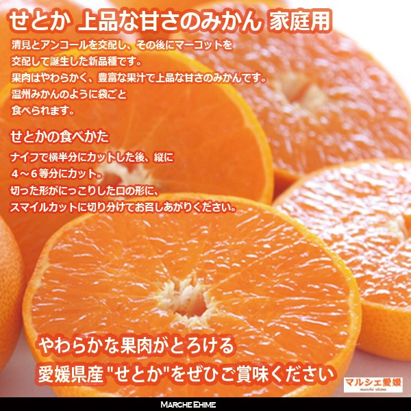 せとか　LとM混合　箱込み5キロ せとか 2キロ サイズ混合 家庭用 2kg 柔らかい果肉 傷有訳あり