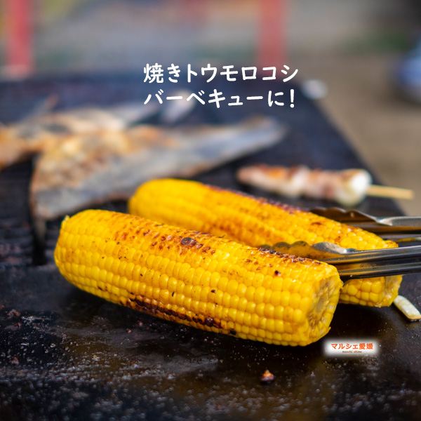 トウモロコシ 焼きとうもろこし 焼きトウモロコシ BBQ バーベキュー