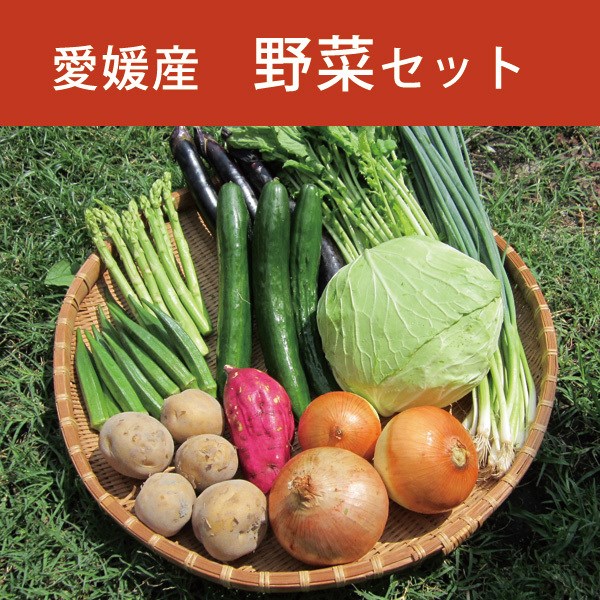 10種類の野菜セット 野菜 10キロ以内 愛媛  四国産 野菜まるごと 内容お任せ 一部地域 送料無料