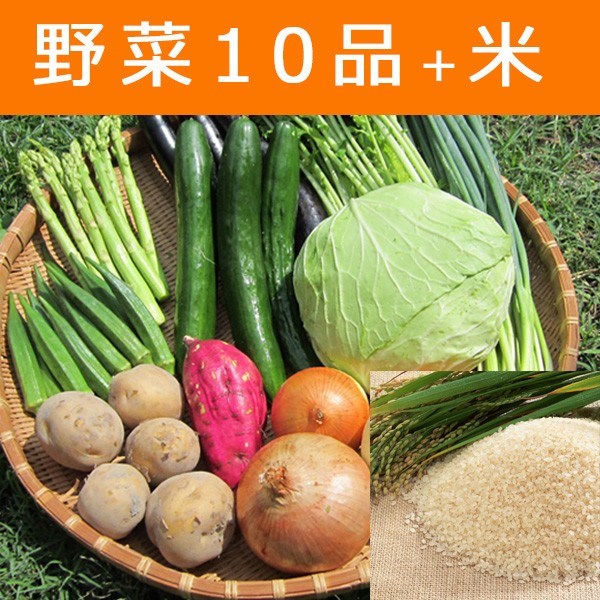 野菜セット 10種類 お米 四国 愛媛県産 産地直送｜marche-ehime