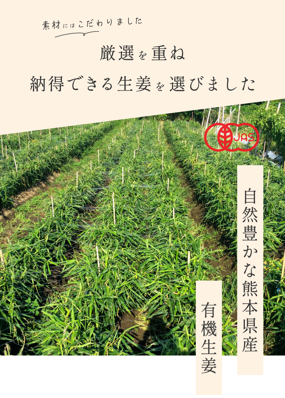 厳選を重ね、納得できるショウガを選びました 有機生姜 オーガニック生姜