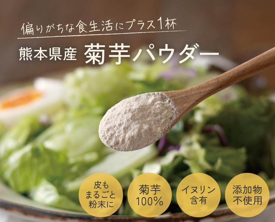 国産 菊芋パウダー 熊本県産