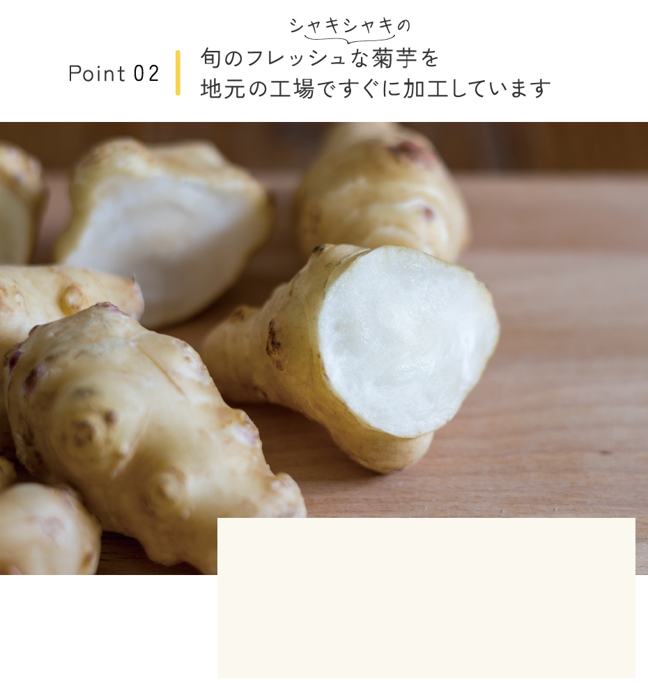 旬のフレッシュな菊芋を地元の工場ですぐに加工