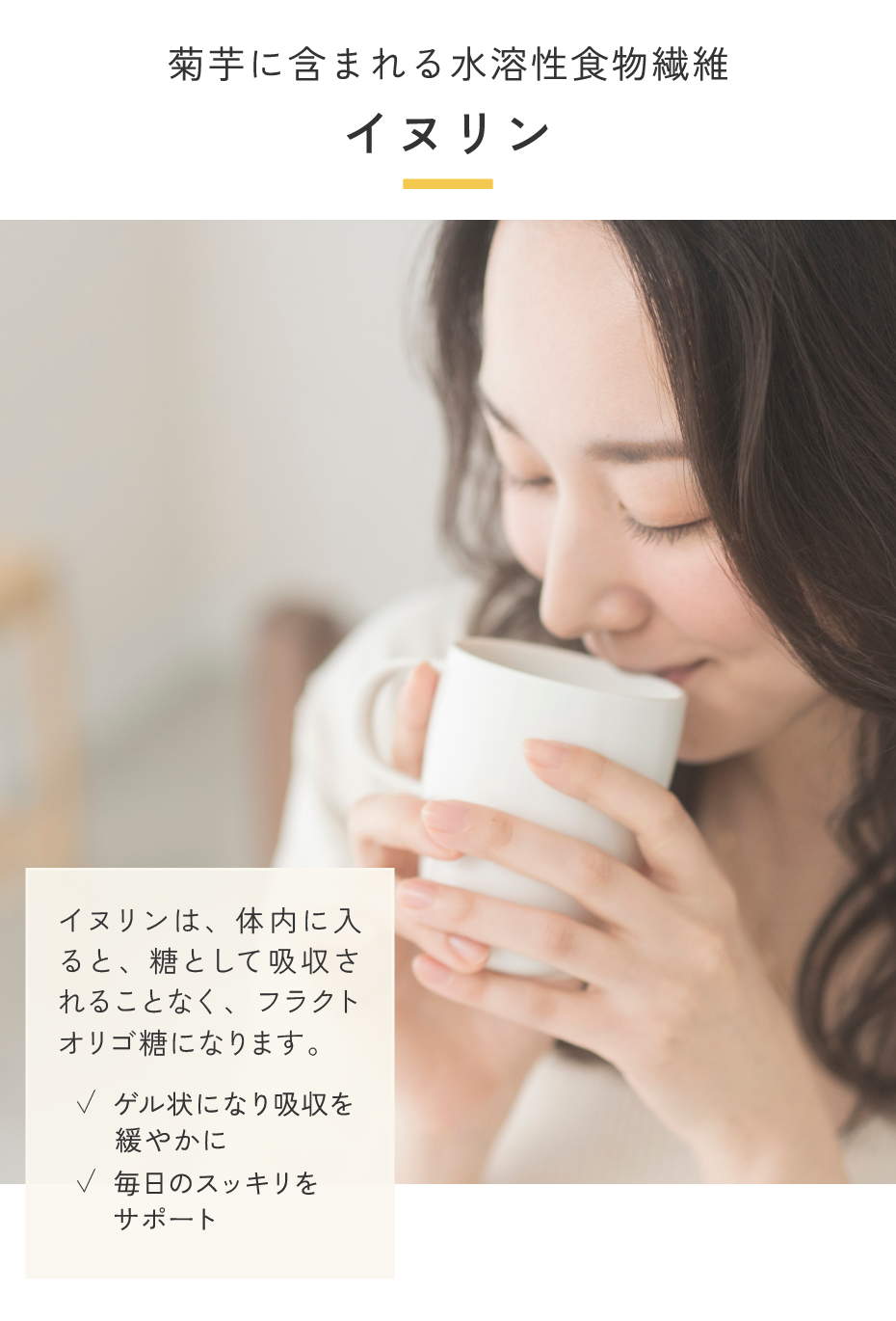菊芋に含まれる水溶性食物繊維イヌリン。イヌリンは体内に入ると、糖として吸収されることなく、フラクトオリゴ糖になります。