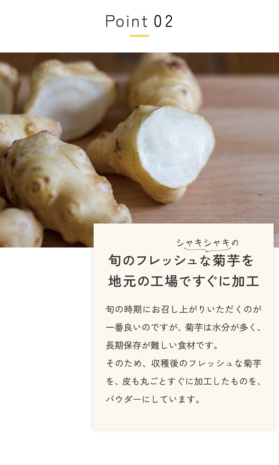 旬のフレッシュな菊芋を地元の工場ですぐに加工。旬の時期にお召し上がりいただくのが一番良いのですが、菊芋は水分が多く、長期保存が難しい食材です。そのため、収穫後のフレッシュな菊芋を、皮も丸ごとすぐに加工したものを、パウダーにしています。