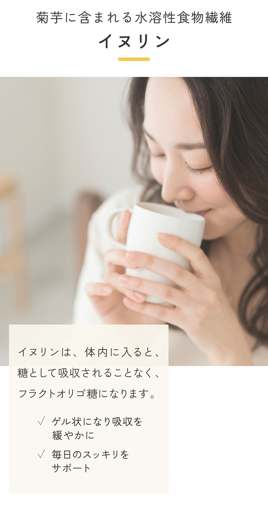 菊芋に含まれる水溶性食物繊維イヌリン。イヌリンは体内に入ると、糖として吸収されることなく、フラクトオリゴ糖になります。