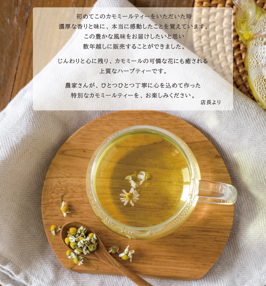 カモミールティー 国産 25g 熊本県産 カモミール ハーブ ジャーマン