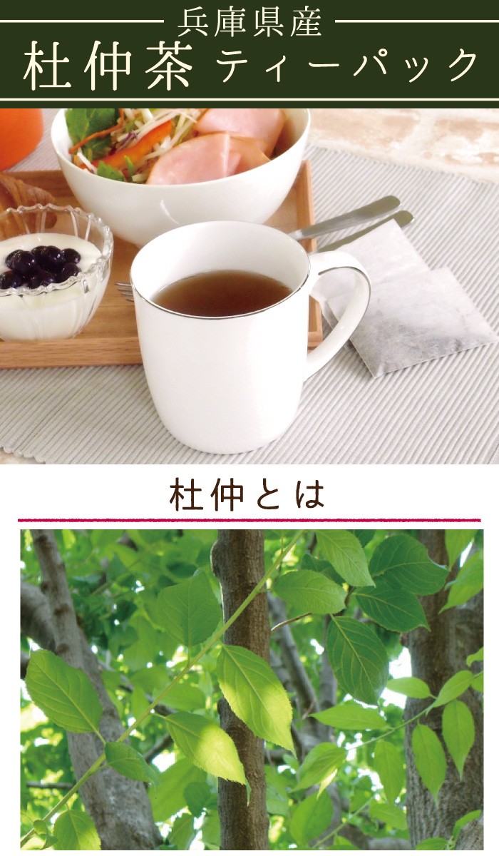 杜仲茶ティーパック