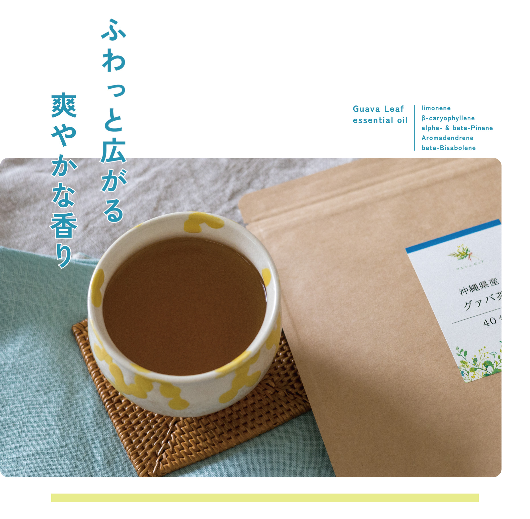グァバ茶 国産