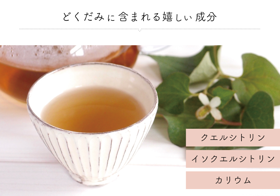 ドクダミに含まれる嬉しい成分