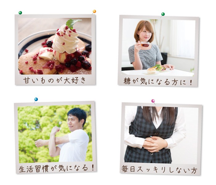 国産スギナ茶