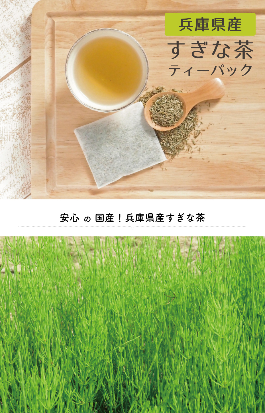 国産スギナ茶