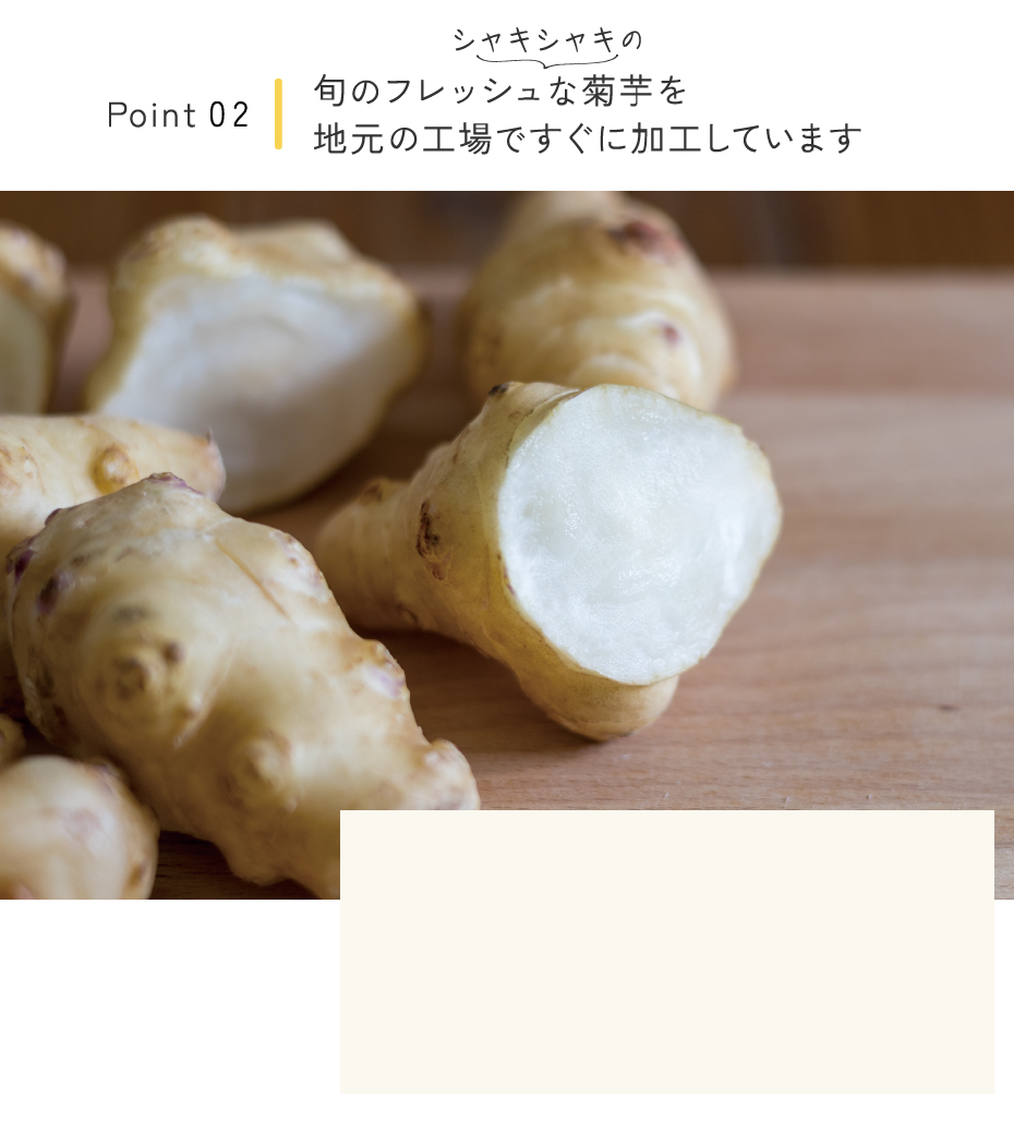 旬のフレッシュな菊芋を地元の工場ですぐに加工