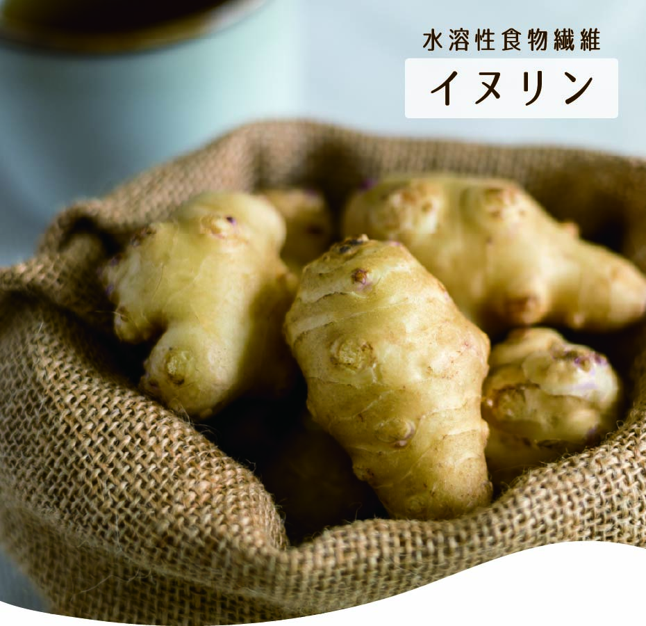菊芋
