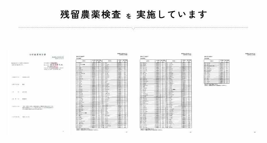 残留農薬検査実施