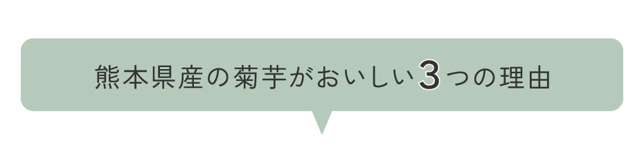 熊本の菊芋がおいしい3つの理由