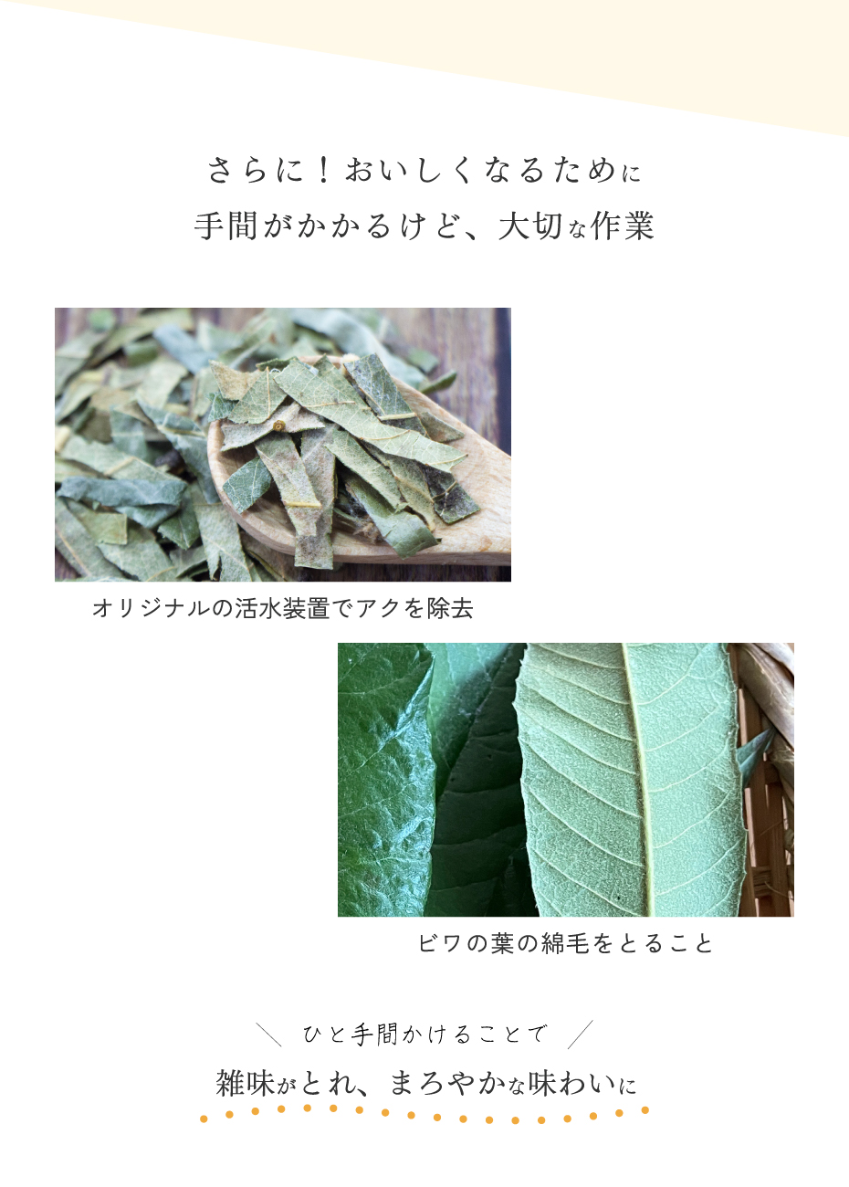 さらにおいしくなるために、手間がかかるけど、大切な作業。オリジナルの活水装置でアクを除去。ビワの葉の綿毛をとること。このひと手間をかけることで、雑味が取れ、まろやかな味わいに。