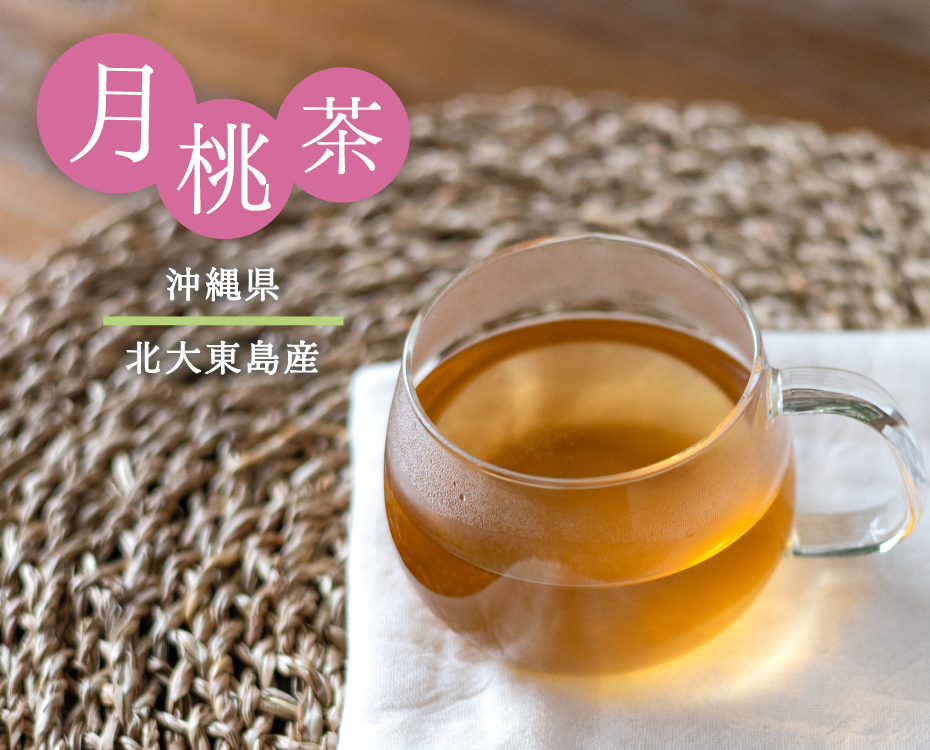 月桃茶 沖縄県産 ティーパック 2g×40包 国産 ティーバッグ ノンカフェ