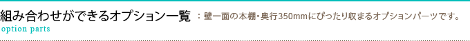 オプション一覧