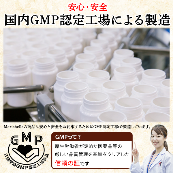 GMPとは