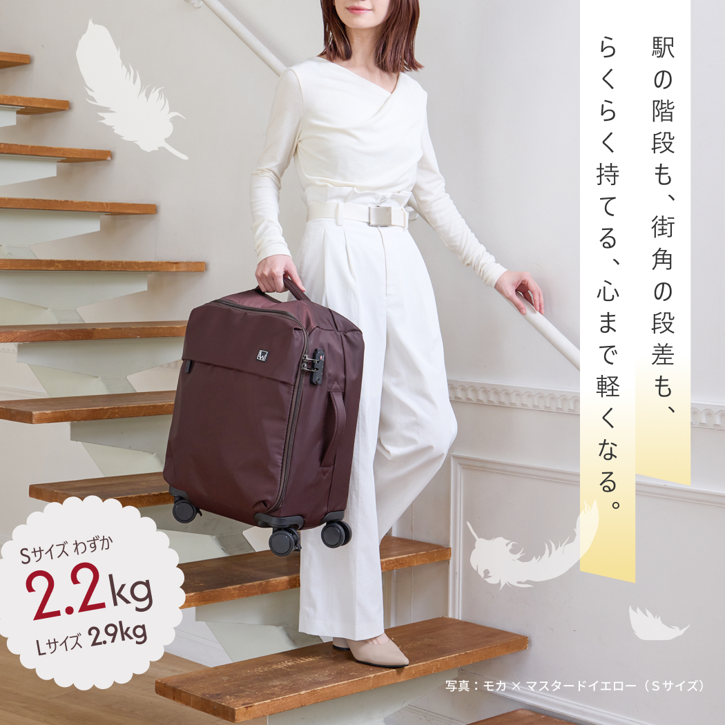 LW エルダブリュー 4300-67 FLIP フリップ ソフトキャリー キャリー