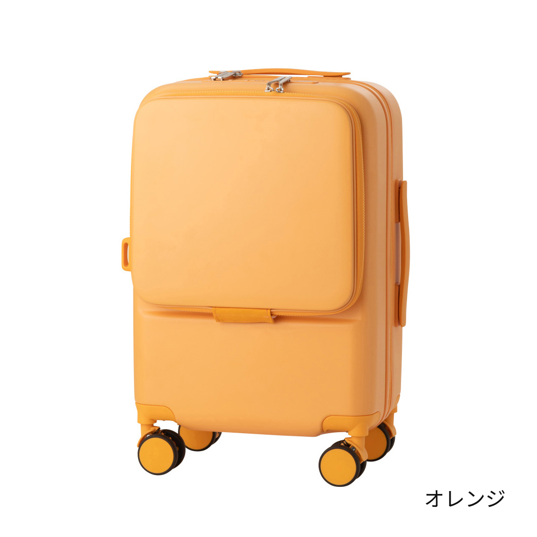 湘南乃風 スーツケース ✩ckさま用✩ 湘南乃風10th キャリーケース