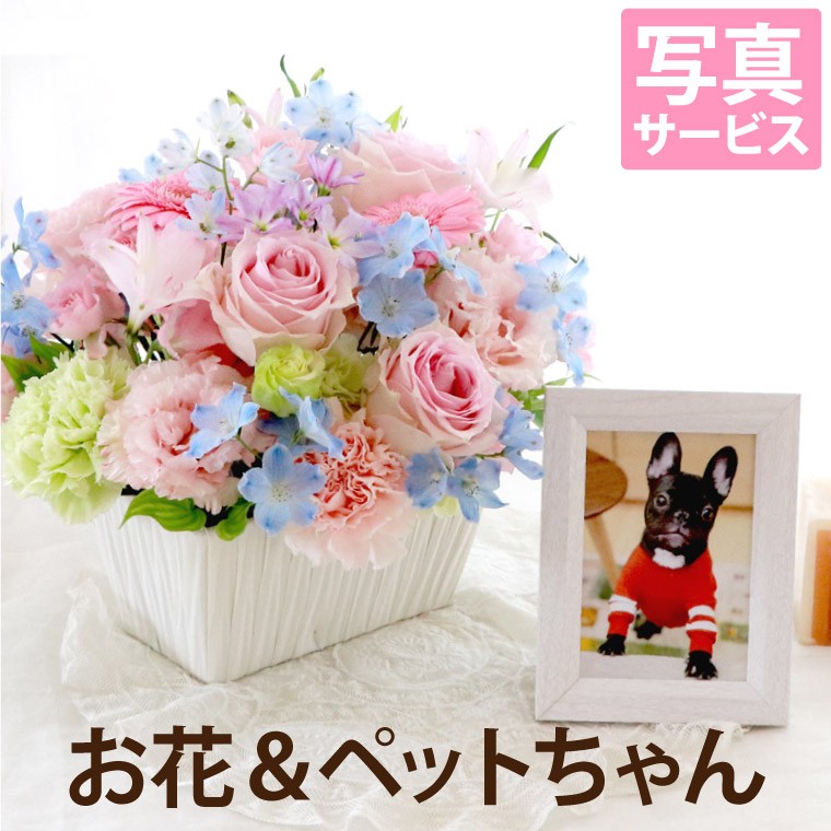 ペット お供え 花 ギフト 星 あの子 AB お悔やみ 犬 猫 命日 供花 生花 仏花 フラワー 花束 フォトフレーム 写真立て セット 49日  贈り物 :9mp18:横浜花まりかフラワーギフト専門店 - 通販 - Yahoo!ショッピング