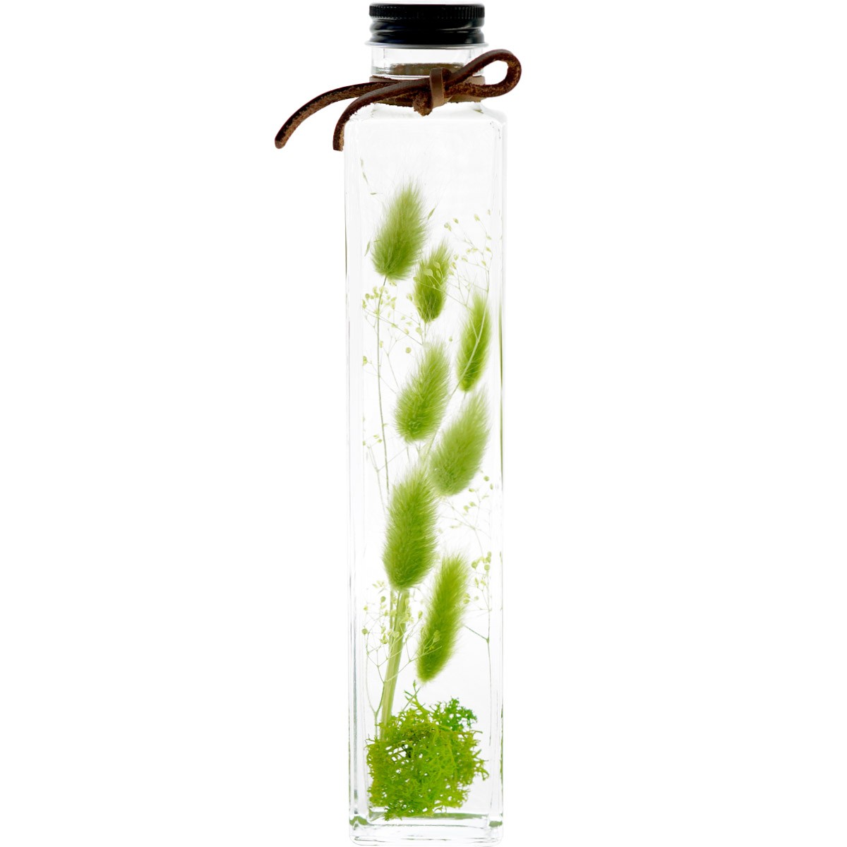 お中元 21 観葉植物 グリーン プランツ ハーバリウム 花 夏 ギフト 引っ越し祝い 友人 プレゼント おしゃれ インテリア 誕生日 女性 男性 Hrb 13 横浜花まりかフラワーギフト専門店 通販 Yahoo ショッピング