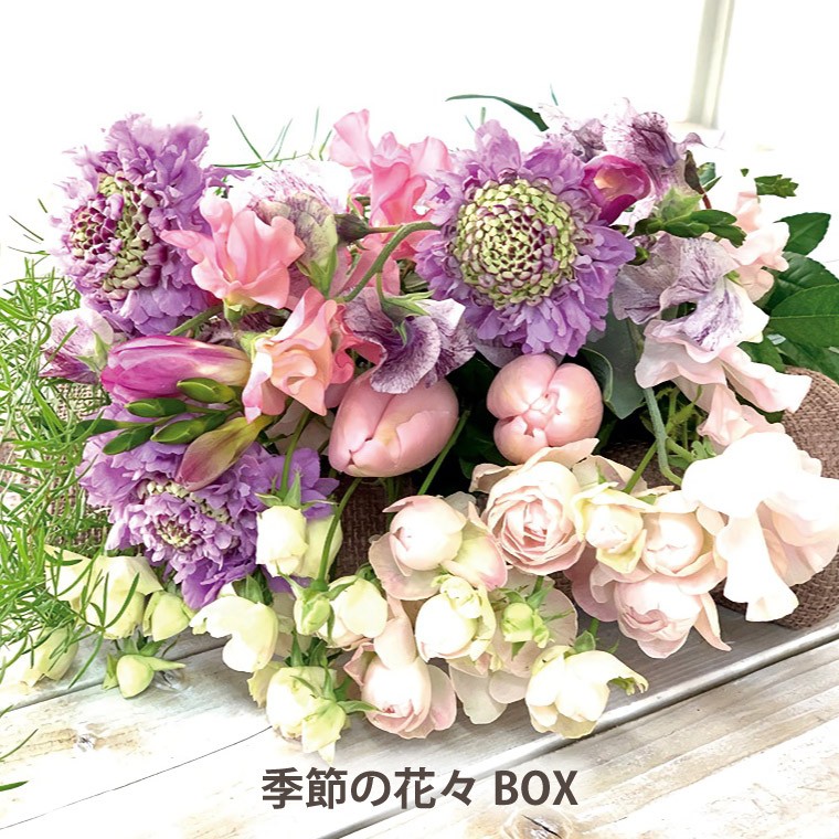 花 プレゼント お花 定期便 花々BOX Bコース 3ヶ月 生花 フラワー アレンジ アレンジメント 季節の花 誕生日 ギフト 女性 贈り物