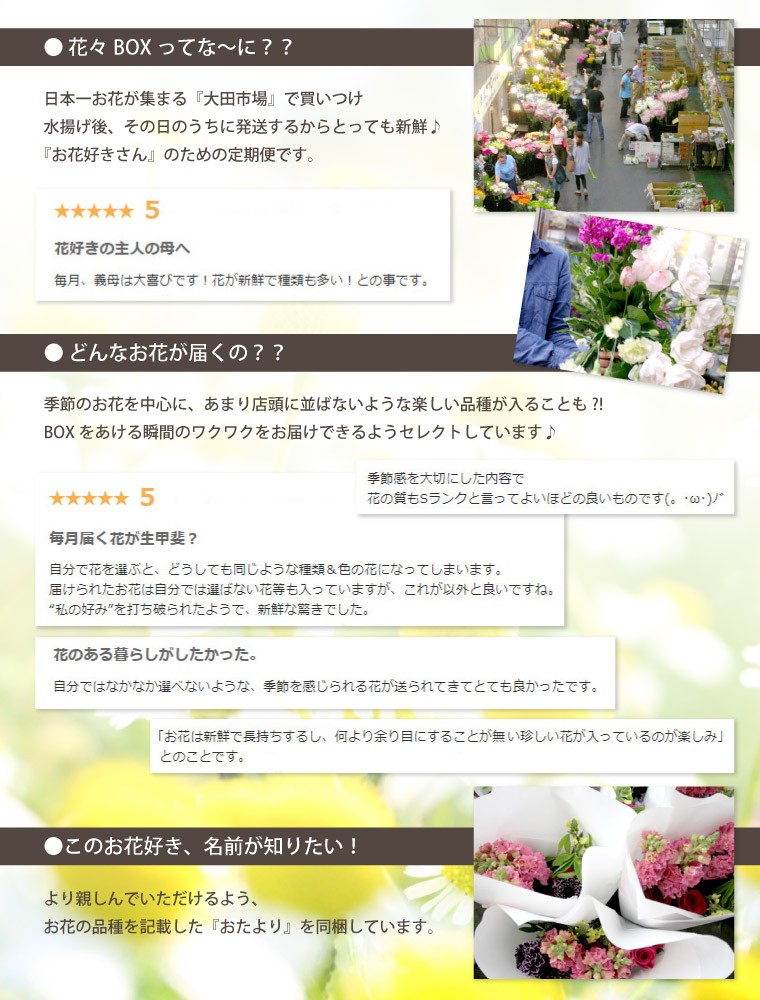 お祝い 花 花々bo0x Bコース6ヶ月 生花 贈り物 ギフト 定期便 毎月届く お祝い 送料無料 フラワーギフトは横浜花まりか本店へ