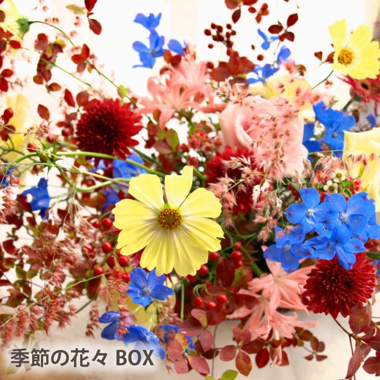 花 ギフト お花 定期便 花々BOX Dコース12ヶ月 1年 生花 フラワー アレンジ アレンジメント 季節の花 誕生日 プレゼント 宅配 :  boxd-12 : FLEGRE 2号店 - 通販 - Yahoo!ショッピング