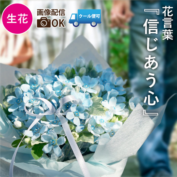7日前予約品 結婚祝い 花 ブルースター アレンジ 生花 おしゃれ 誕生日 プレゼント 女性 フラワー ギフト 女友達 結婚式 祝電 電報 結婚記念日 妻 お花 宅配｜FLEGRE 2号店