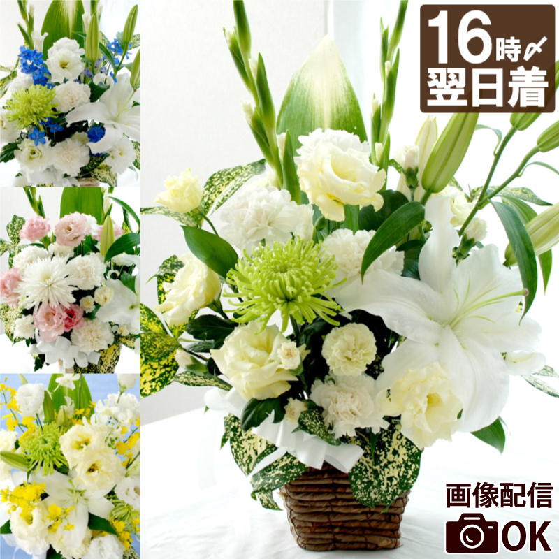 Amazon | 花 お供え 花 アレンジメント ペット 仏花 仏壇 仏前